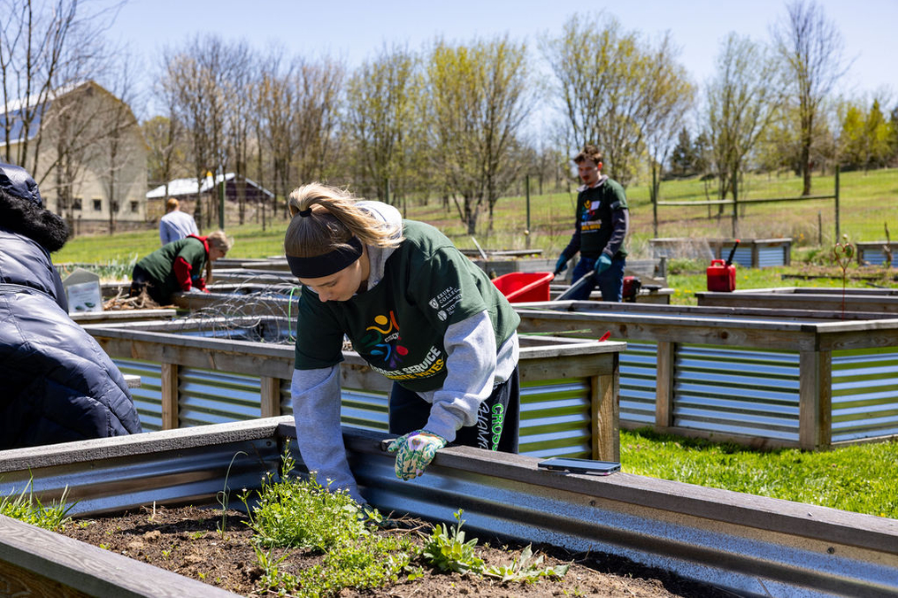 Volunteers turn their attention to raised garden beds during a past Celebrate Service ... Celebrate Yates day of community service. Volunteers are invited to register for this year's community-improvement day, set for April 26.