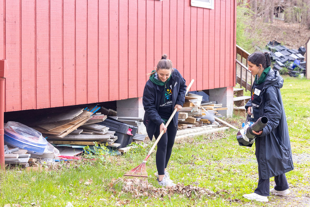 Two volunteers working together raking leaves